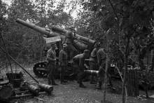 ������� �������� 65-� ��������� ������������ �� ���������� �����������