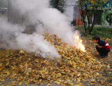 � ���������������� ����� ��������� ������� ���� �� �������� ������� �������