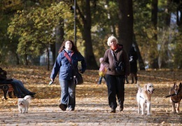 ������������� �������: ������� ���� � ���� ���� �� �����