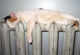 ��������� ������ ������������ � �������������� ������ ������� ���� ��� ������ ������ ������������� ������