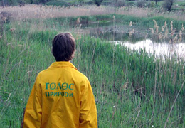 ����������� ������������ ��������, ��� 