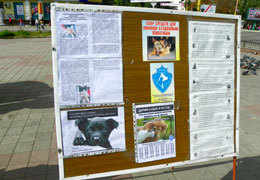 � ���������������� ������� ����� � ��������� ��������� ��������