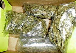 ����������� �� ���������������� ���������� � 5 ����� ������