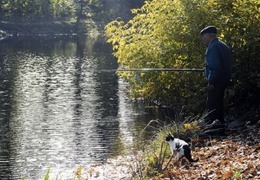 ���������: �� ���� ������ � ������� ��������� ������������� ��� ������� ������