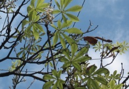 � ��������� ������ � ������� �������� ����