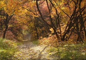 �� ����� ������ � ������� ���������� ������ ������ - �������������