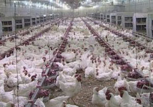 ������ �������� ������ ����� ���������� ������ � ��������������