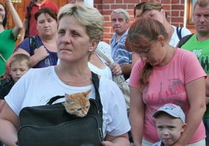 ������ �� ������ ����� � ���������������� �������� 259 ������������