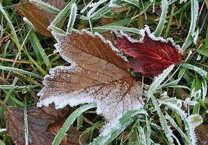 � ��������������� ���������� �� 10 ��������