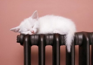 ����� ������������� ������ � ���������������� �������� � ������� ������