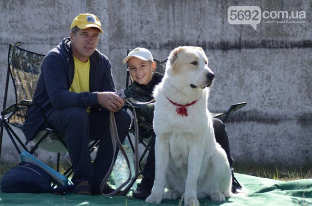 � ��������� ������ ������������� �������� �����