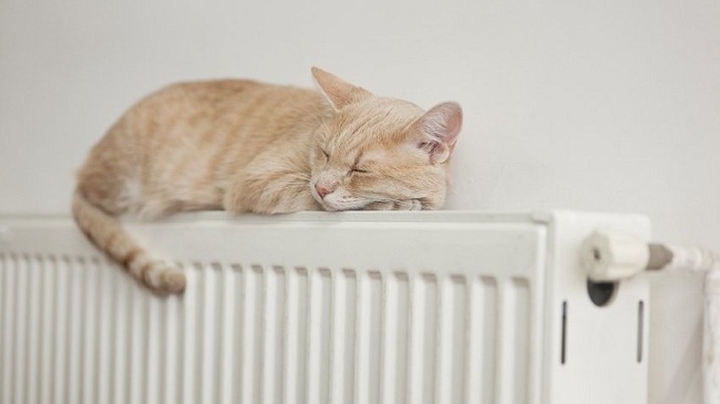 Когда в Каменском начнется отопительный сезон