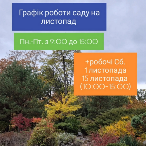 Ботсад зовет гостей в субботу