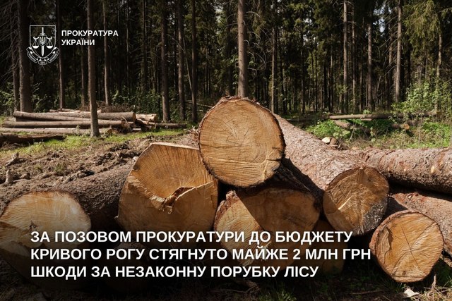 В бюджет Кривого Рога взыскано почти 2 млн грн ущерба за незаконную порубку леса