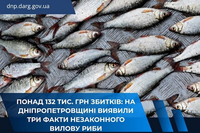 Более 132 тыс. грн убытков: на Днепропетровщине обнаружили факты незаконного отлова рыбы