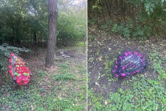 В парку Дружби ліквідували кладовище домашніх тварин