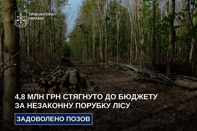 4,8 млн грн ущерба взыскали в бюджет за незаконную порубку леса на Днепропетровщине - суд удовлетворил иск прокуратуры
