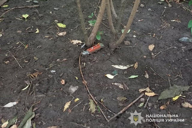 Криворожские полицейские задержали мужчину, причастного к убийству женщины