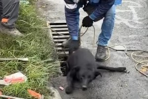 � ����� ������������ ��������� ����� �� ������ ����������