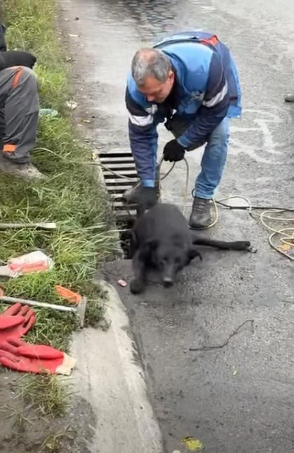 � ������ ������������� ������ ����� �� �������� �����������