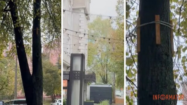 ��������� ����� ��������� ��������: � ������ ���������� � ����������������