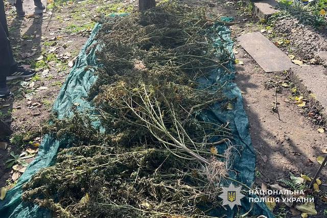 Криворожские полицейские разоблачили мужчину на незаконном хранении конопли и каннабиса
