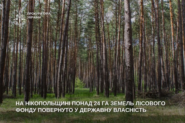 На Никопольщине более 24 га земель лесного фонда возвращены в государственную собственность