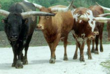 ��������� ����� � ������������������� ����������� 