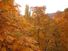 � ������� ����� �� 16 �������� �����