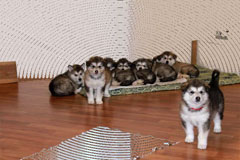 �� ��� �����! ����������� �������� � ������