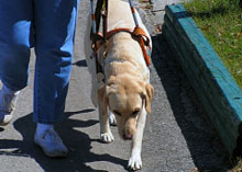 13 ������ - ������������� ���� ������