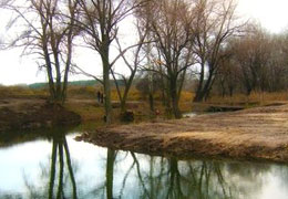 ����������������� ������������ ����� ���������