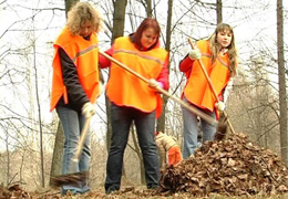 � ���������������� ������ ������������� ���������