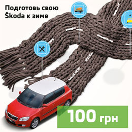 ��������� ���� Skoda � ���� �� 100 ���.