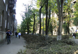 � ������ ���� �������� 1765 ��������