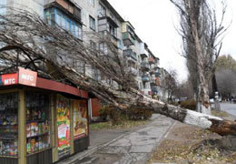 � ���������������� ������ ����� �� �����