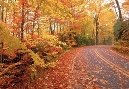 ����������� ����������, ����� ����� ������ � ������