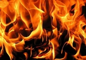 � ���������������� �� ������ ����� �������