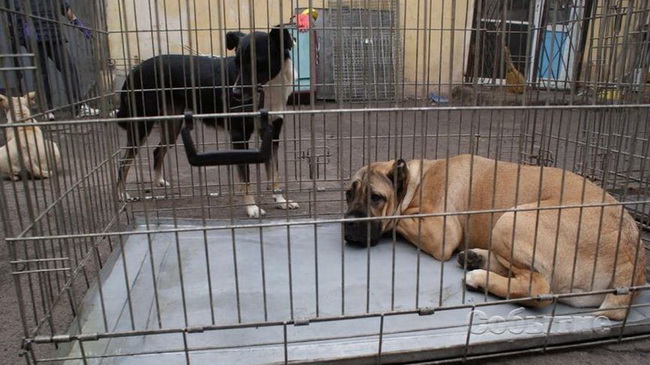 ������ � ��������� ������ �������