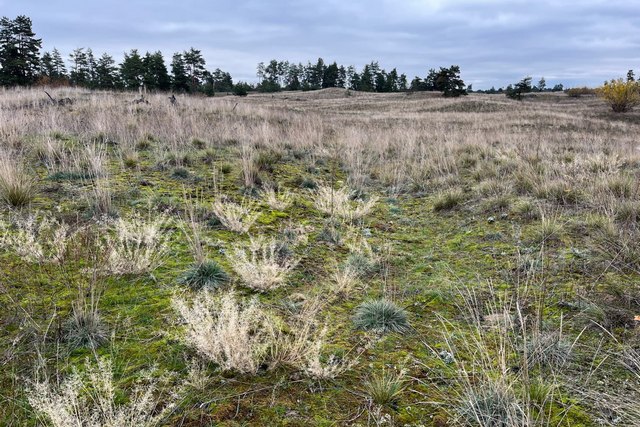 Об Орельском заповеднике хотят снять кино