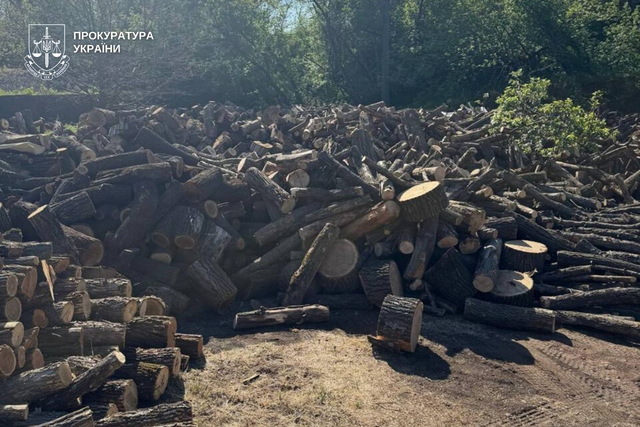 1,3 млн грн убытков: Троих жителей Днепропетровщины будут судить из-за незаконных рубок