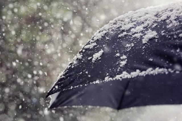 Дожди, мокрый снег и туман: прогноз погоды на неделю по Днепропетровщине