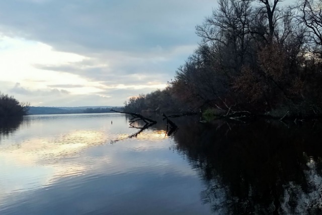 На Днепропетровщину массово вторглись северные мигранты