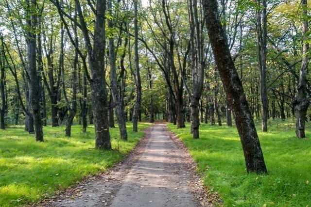 Суд принял важное решение по экологической сети Днепра
