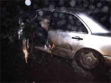 ���� ������ �������� �� 14 ����������� �������� ������������ ������ �� ����������������