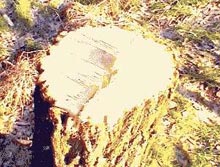 �������� ����� ��  ���������� ����