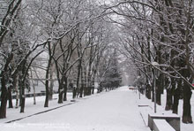 ���� �������, ��� �������� �������� 