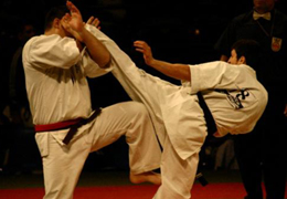 ���������������� ���������� ��������� ��������� ������-��