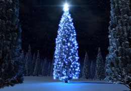 ����� ��. �.�������� ���������� ����������� ���������