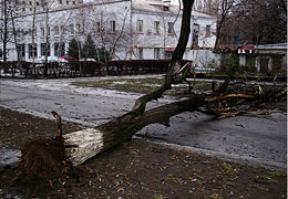 � ���������������� ������ �������� 167 ��������